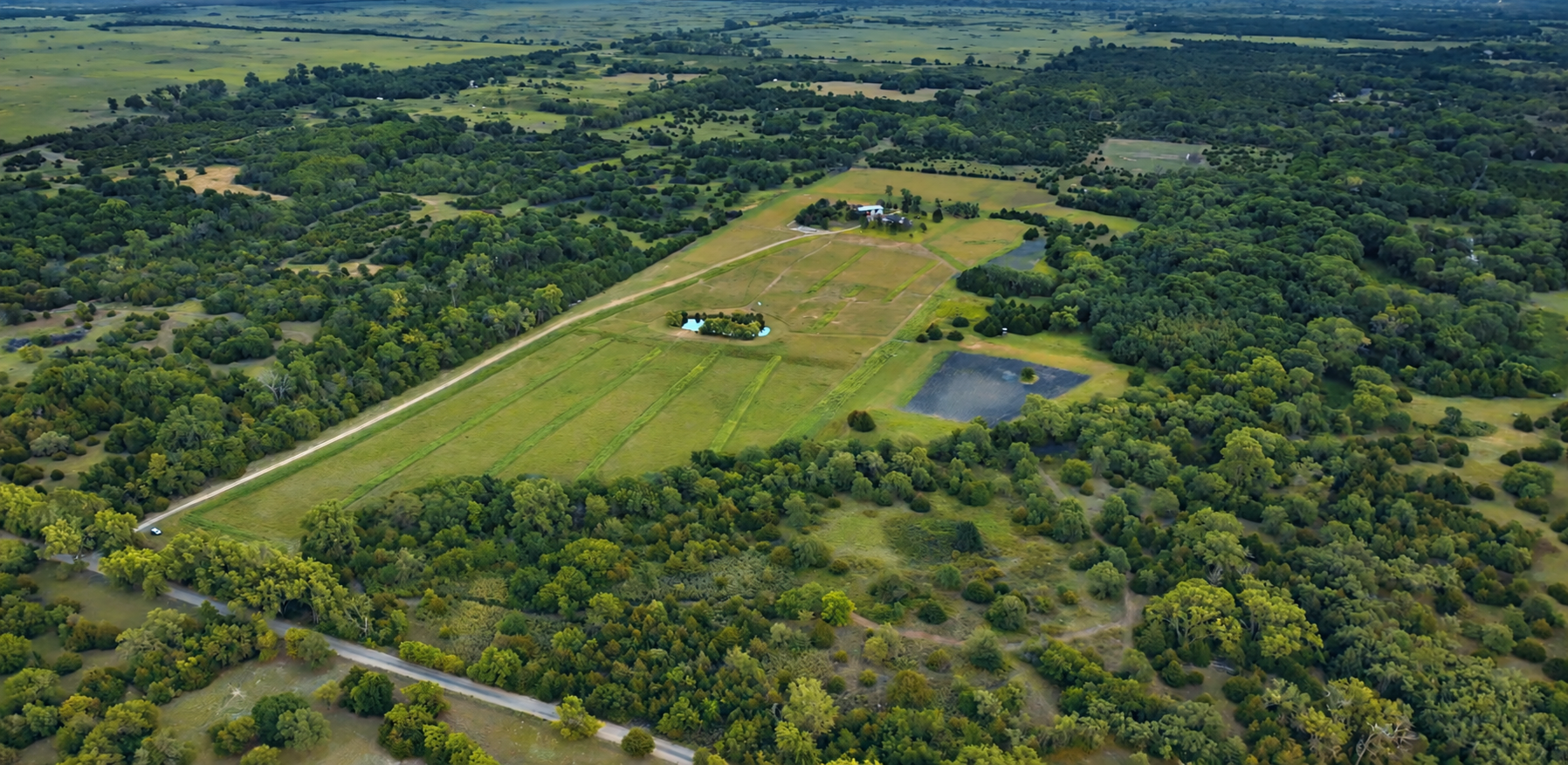 Rice County Farmland Values and Market Update 2026